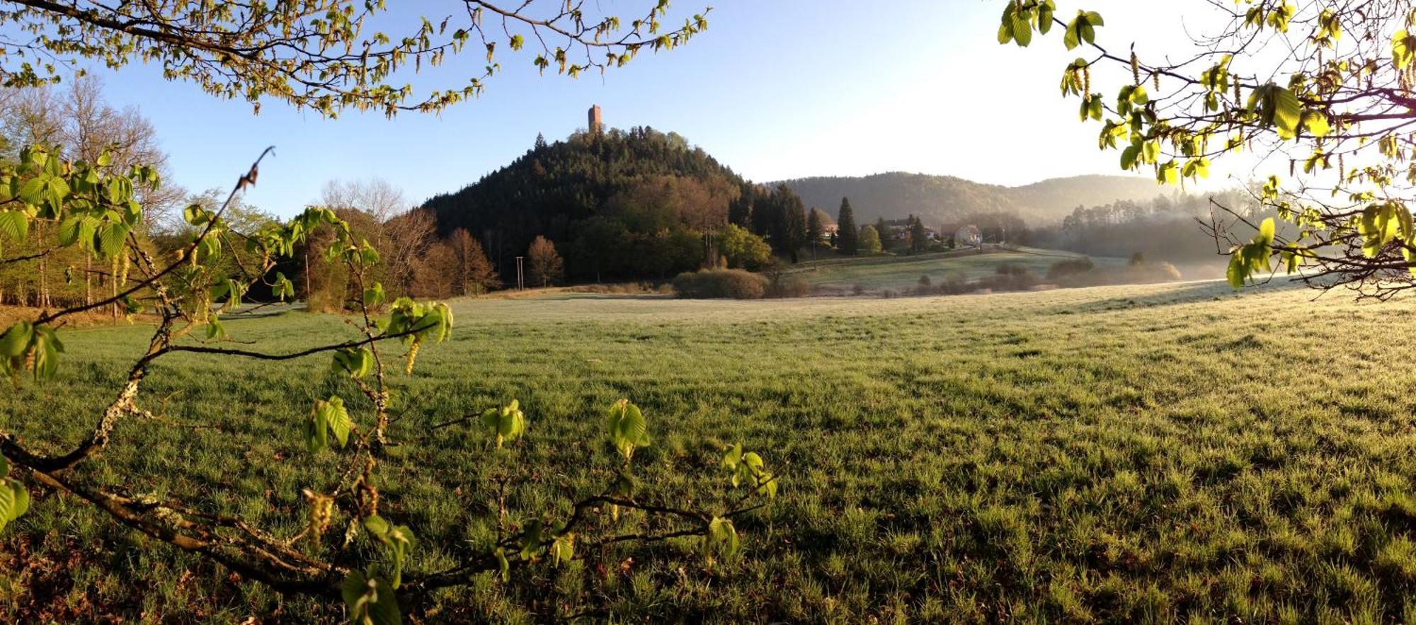 Le Gite De L'Ecureuil Sturzelbronn Exterior foto