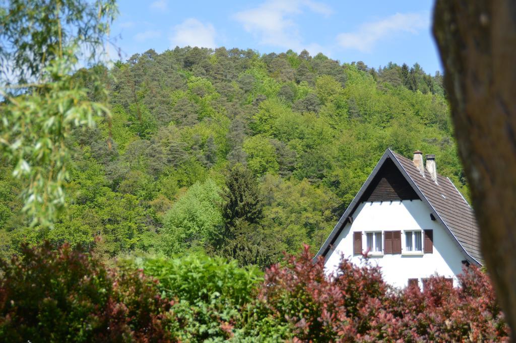 Le Gite De L'Ecureuil Sturzelbronn Exterior foto